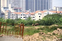 Đất nền đang sốt nóng ở nhiều địa phương. Ảnh: Thành Nguyễn