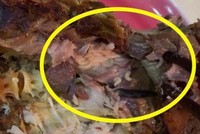 Khúc cá lúc nhúc giòi mà CleverFood bán cho khách hàng.