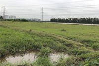 Dự án Khu giáo dục Nguyễn Trãi đã đằng đẵng treo 15 năm qua. Trong ảnh: Hiện trạng một góc khu đất Dự án