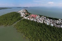 Cần Giờ có thể trở thành một đô thị biển tầm cỡ. Ảnh: Trọng Tín