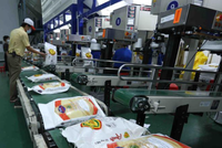 Giá gạo xuất khẩu của Việt Nam biến động giảm theo đà chung của giá gạo thế giới.