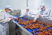 Tấp nập dự án sản xuất, chế biến rau quả