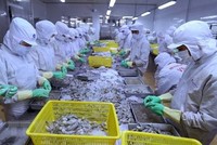 Năm 2020, thương mại Việt Nam - Canada đạt 5,1 tỷ USD, tăng 6,6% so với năm trước; trong đó giày dép, thủy sản, đồ gỗ là các mặt hàng xuất khẩu chủ lực của Việt Nam.