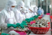 Tính chung 4 tháng, cả nước có gần 44.200 doanh nghiệp đăng ký thành lập mới với tổng số vốn đăng ký là 627.700 tỷ đồng