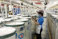 Doanh nghiệp FDI nắm phần lớn ngành sản xuất xơ sợi, khi đóng góp tới 2,7 tỷ/3,7 tỷ USD giá trị xuất khẩu trong năm 2020.