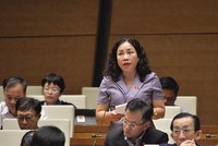 Quốc hội cần thêm nhiều đại biểu là doanh nhân. Trong ảnh: Đại biểu Trần Thị Hiền (Hà Nam), một trong số ít đại biểu Quốc hội là doanh nhân.