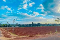 Thời gian qua tại Gia Lai xuất hiện hiện tượng một số doanh nghiệp, nhà đầu cơ từ nơi khác đến tìm cách lũng đoạn, gây sốt ảo thị trường bất động sản.