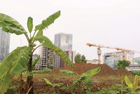 Nhiều dự án đình trệ vì vướng giải phóng mặt bằng. Ảnh: Lê Toàn