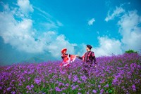 Tháng 5 gọi những mùa hoa, Sa Pa chưa bao giờ đẹp đến thế