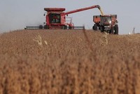 Kim ngạch nhập khẩu nông sản tiến gần nhất đến cam kết 4 tháng đầu năm 2021, đạt mức 79% dựa theo số liệu của Mỹ và 87% dựa theo số liệu của Trung Quốc. Ảnh tư liệu: AFP