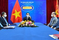 Bộ trưởng Ngoại giao Bùi Thanh Sơn điện đàm với Ngoại trưởng Hoa Kỳ Antony Blinken