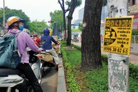 Chiêu quảng cáo bán nhà mùa dịch. Ảnh: Lê Toàn