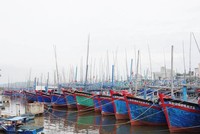 Khu vực đầm Đề Gi và Tam Quan là khu neo đậu tránh trú bão cho tàu cá cấp vùng kết hợp cảng cá Đề Gi và Tam Quan.