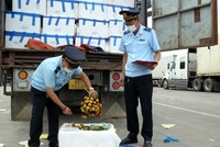 Trung Quốc đã thiết lập 10 khu tập kết trái cây, 4 khu tập kết lương thực tại các cửa khẩu biên giới phía Trung Quốc để hỗ trợ tập kết các mặt hàng nông sản Việt Nam sang.