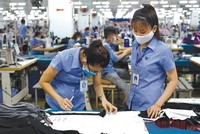 Tỷ lệ sử dụng C/O mẫu EUR.1 của hàng dệt may Việt Nam xuất khẩu sang EU nhằm mục đích tận dụng ưu đãi thuế quan chưa đạt được mức kỳ vọng