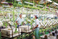 Phú Yên: Đến năm 2030 tiết kiệm năng lượng từ 8-10%