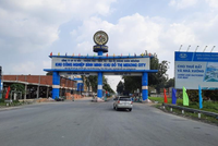 Công ty TNHH MTV Thực phẩm Nhất phẩm Việt Nam có trụ sở chính tại khu công nghiệp Bình Minh, tỉnh Vĩnh Long