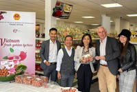 Vải thiều Việt Nam được xuất khẩu chính ngạch sang Hà Lan và được bán với giá 18 Euro/kg (Hơn 500.000 đồng).