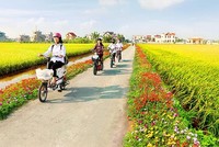 Đến tháng 5/2021 cả nước có 5.298/8267 xã đạt chuẩn nông thôn mới.