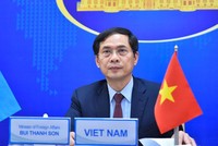 Bộ trưởng Ngoại giao Bùi Thanh Sơn tham dự Phiên thảo luận mở trực tuyến cấp cao của HĐBA LHQ (Ảnh: BNG)