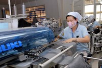 Tỷ lệ hàng xuất khẩu có C/O ưu đãi chưa cao