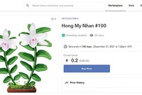 Lan đột biến của Việt Nam được mã hóa thành tài sản số và đăng bán trên sàn giao dịch OpenSea (ảnh chụp từ màn hình)