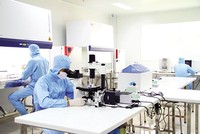 Người lao động làm việc tại Công ty Geneworld tại khu công nghệ cao TP.HCM (Ảnh: Hồng Sơn).