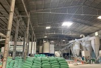 Nhà máy sản xuất lúa gạo của Louis Agro (Nguồn: Louis Agro).