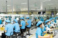 Tính đến hết ngày 12/7, đã có 263 doanh nghiệp trong khu công nghiệp tại Bắc Giang hoạt động trở lại.