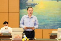 Chủ nhiệm Uỷ ban Kinh tế Vũ Hồng Thanh trình bày báo cáo thẩm tra.