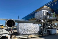 Tính đến 28/6/2021, các hãng hàng không Việt Nam đã hoán đổi 9 tàu bay sang chở hàng theo hình thức tháo ghế hành khách để chở hàng trên khoang.