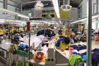 Công nhân của May mặc Dony làm việc trong nhà máy tại quận Tân Bình, TP.HCM (Ảnh: Quang Anh).