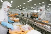 6 tháng 2021, Việt Nam xuất khẩu lượng hàng hóa trị giá 1,66 tỷ USD sang khối Liên minh Kinh tế Á – Âu , tăng 31,3%.so với cùng kỳ.