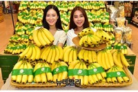 Việt Nam tăng xuất khẩu chuối sang Hàn Quốc.