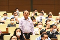 Đại biểu Lê Thanh Vân (Cà Mau) phát biểu. (Ảnh- Quochoi.vn).