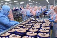 Xuất khẩu hàng hóa nửa đầu tháng 7/2021 sụt giảm 13,9% so với kỳ cuối tháng 6, nhập siêu 1,83 tỷ USD.