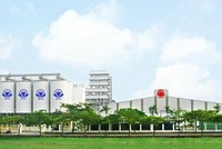 Lỗ liên tiếp, tương lai nào cho Halico?