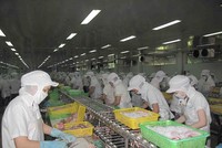 Kể từ 0 giờ ngày 05/8/2021, các doanh nghiệp, cơ sở sản xuất kinh doanh trên địa bàn TP. Cần Thơ không đảm bảo đủ điều kiện an toàn phòng chống dịch phải tạm dừng hoạt động