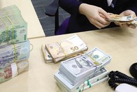 Xử lý nợ xấu luôn là vấn đề làm các ngân hàng đau đầu. Ảnh: Đ.T