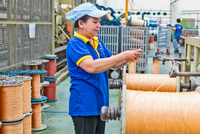 Doanh nghiệp sở hữu thương hiệu "lạ" Con Gà và Hải Mã thu hơn 221 tỷ đồng trong nửa đầu năm