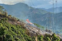 Cháy rừng gây sự cố nghiêm trọng đường dây 500kV Dốc Sỏi – Pleiku 2