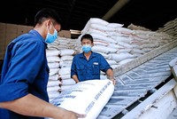 Doanh nghiệp lưu kho gạo ST24, chờ đóng gói xuất khẩu sang thị trường châu Âu Ảnh: Đức Thanh