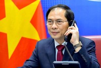 Bộ trưởng Ngoại giao Bùi Thanh Sơn (Ảnh: BNG)