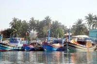 Hệ thống cảng cá và khu neo đậu tại Quảng Nam hiện tại chưa được đầu tư theo đúng quy hoạch của Chính phủ