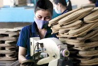 Giảm gần 44% chi phí thủ tục hành chính lĩnh vực hỗ trợ doanh nghiệp nhỏ và vừa