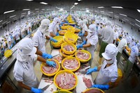 Vạch lộ trình phát triển cho ngành chế biến thủy sản Việt Nam
