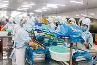 Kim ngạch xuất nhập khẩu cả nước tính đến 15/8 xấp xỉ 400 tỷ USD