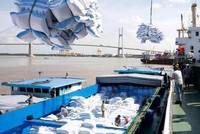 Giá gạo xuất khẩu của Việt Nam đã xuống thấp do ảnh hưởng của dịch bệnh kéo dài, khó khăn trong khâu thu hoạch, vận chuyển và cước phí vân tải tăng vọt...