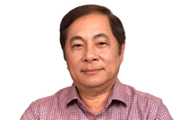 TS. Đinh Thế Hiển, Chuyên gia kinh tế