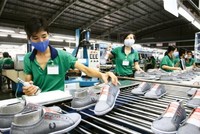 Ngành da giày, dệt may Hoa Kỳ phụ thuộc trực tiếp và rất lớn vào “sức khỏe” của ngành công nghiệp này tại Việt Nam.